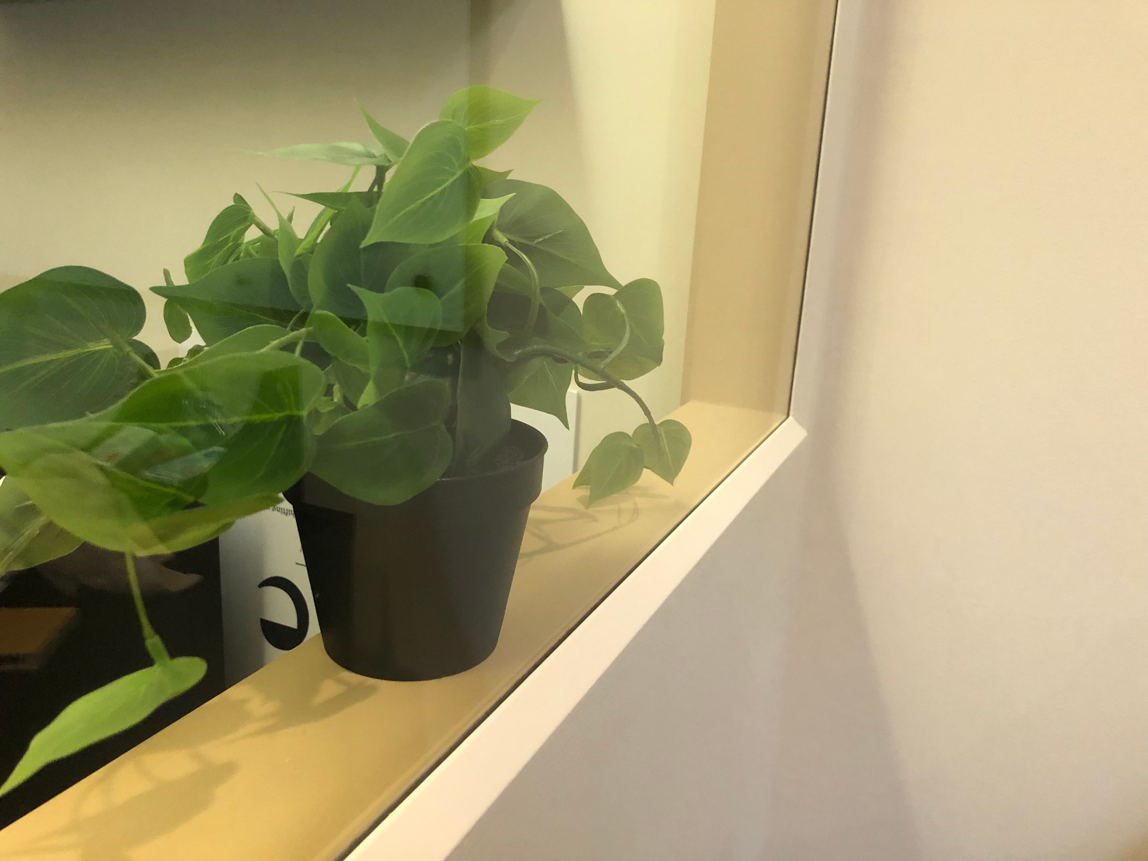 Formas creativas de acabar el chaflán de las ventanas