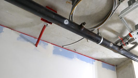 UC San Diego Hotrod Type X 3 IMG 7948